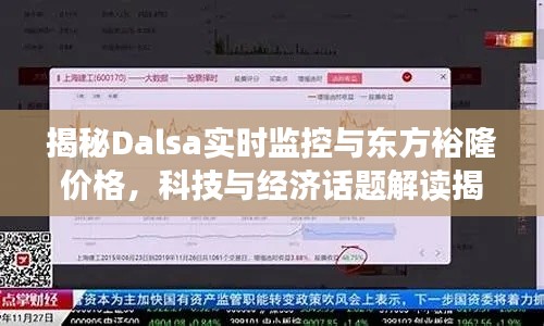揭秘Dalsa实时监控与东方裕隆价格,科技与经济话题解读揭秘揭秘东方裕隆价格解读,中学老师为你剖析科技与经济的联系