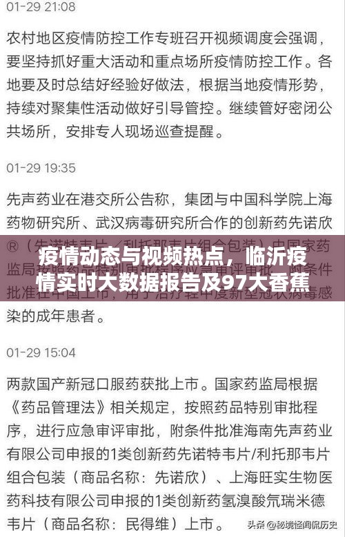 疫情动态与视频热点,临沂疫情实时大数据报告及97大香蕉在线最新视频概览