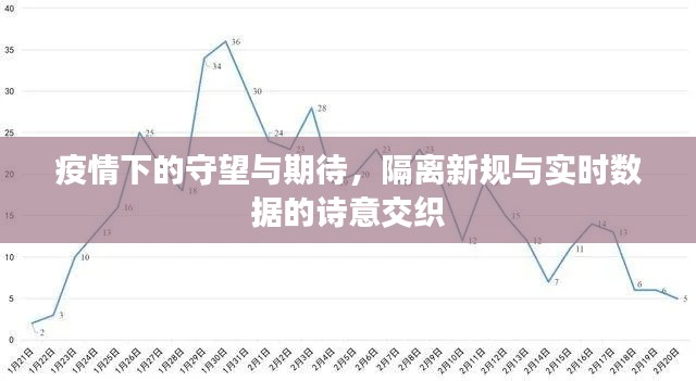 疫情下的守望与期待，隔离新规与实时数据的诗意交织