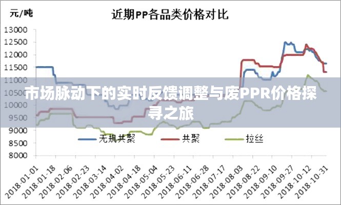 市场脉动下的实时反馈调整与废PPR价格探寻之旅