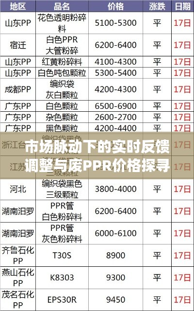 市场脉动下的实时反馈调整与废PPR价格探寻之旅