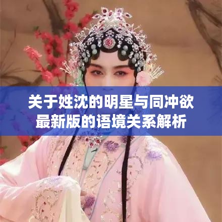 关于姓沈的明星与同冲欲最新版的语境关系解析