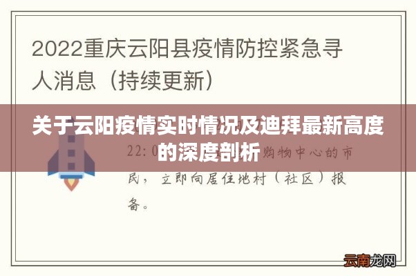 关于云阳疫情实时情况及迪拜最新高度的深度剖析