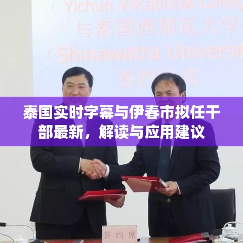 泰国实时字幕与伊春市拟任干部最新,解读与应用建议