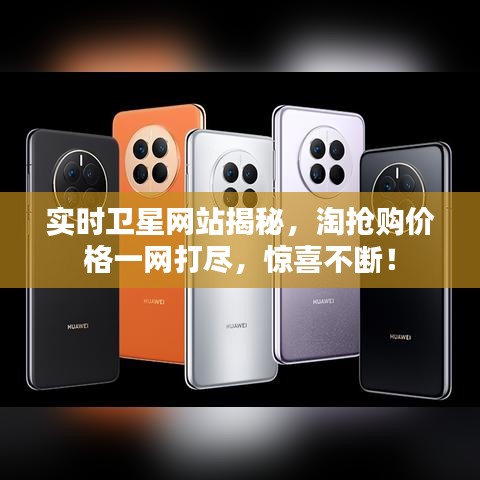实时卫星网站揭秘,淘抢购价格一网打尽,惊喜不断!