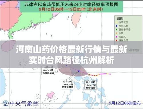 河南山药价格最新行情与最新实时台风路径杭州解析