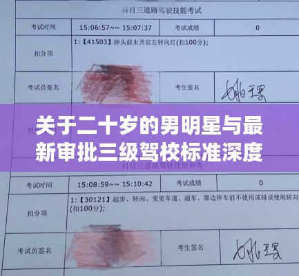关于二十岁的男明星与最新审批三级驾校标准深度解读
