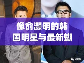 像俞灏明的韩国明星与最新蝴蝶鱼,语境下的关系解读及风险警示
