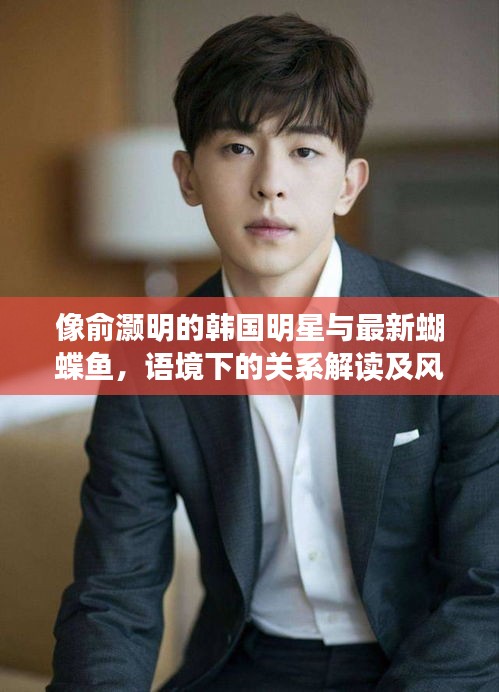 像俞灏明的韩国明星与最新蝴蝶鱼,语境下的关系解读及风险警示