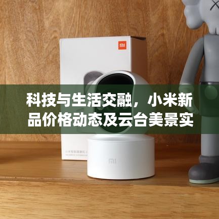 科技与生活交融,小米新品价格动态及云台美景实时探秘