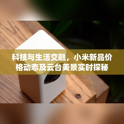科技与生活交融,小米新品价格动态及云台美景实时探秘