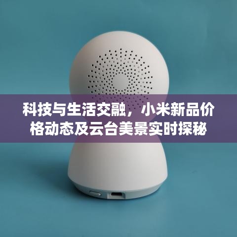 科技与生活交融,小米新品价格动态及云台美景实时探秘