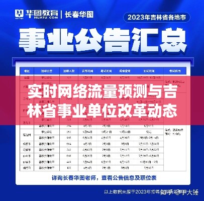 实时网络流量预测与吉林省事业单位改革动态速递