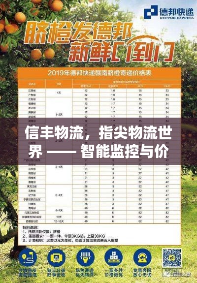 信丰物流,指尖物流世界 —— 智能监控与价格表实时追踪