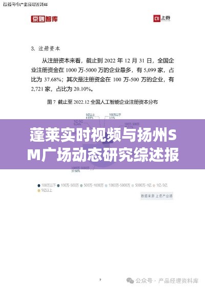 蓬莱实时视频与扬州SM广场动态研究综述报告,深度分析与综述