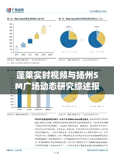 蓬莱实时视频与扬州SM广场动态研究综述报告,深度分析与综述