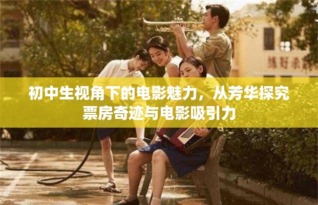 初中生视角下的电影魅力,从芳华探究票房奇迹与电影吸引力