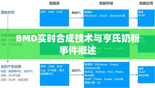 BMD实时合成技术与亨氏奶粉事件概述