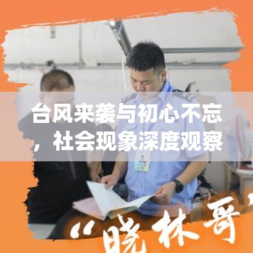 台风来袭与初心不忘,社会现象深度观察与反思