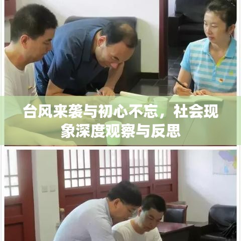 台风来袭与初心不忘,社会现象深度观察与反思