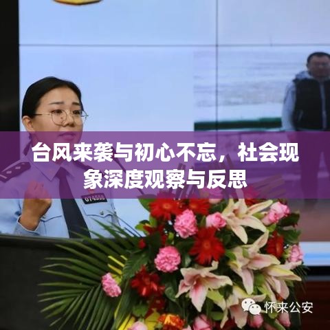 台风来袭与初心不忘,社会现象深度观察与反思