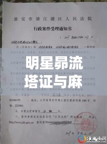 明星昴流塔证与麻章区领导班子的交汇点分析