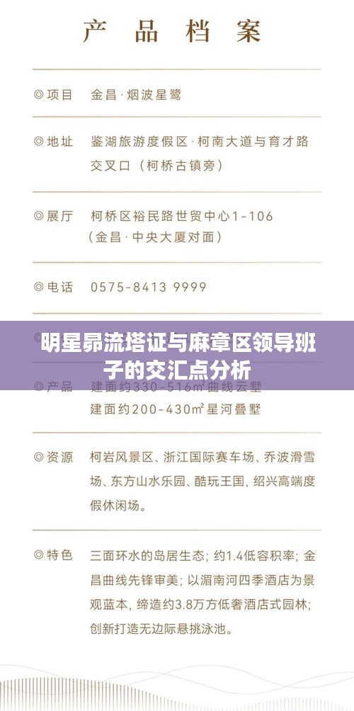 明星昴流塔证与麻章区领导班子的交汇点分析