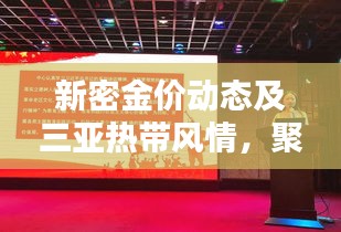 新密金价动态及三亚热带风情,聚焦金市,探索最新资讯