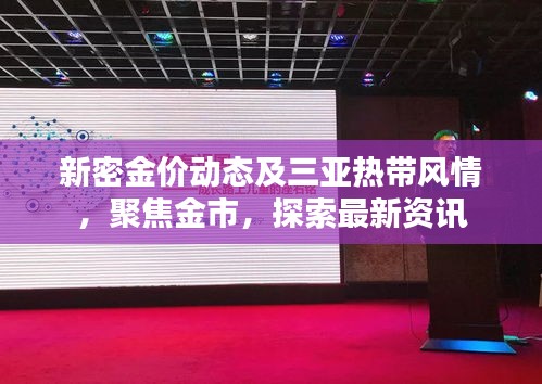 新密金价动态及三亚热带风情,聚焦金市,探索最新资讯