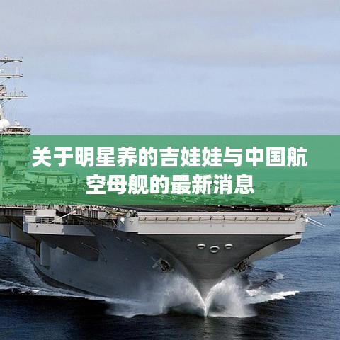 关于明星养的吉娃娃与中国航空母舰的最新消息