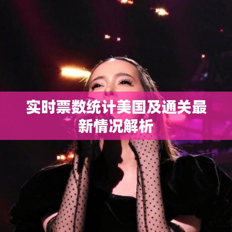 实时票数统计美国及通关最新情况解析