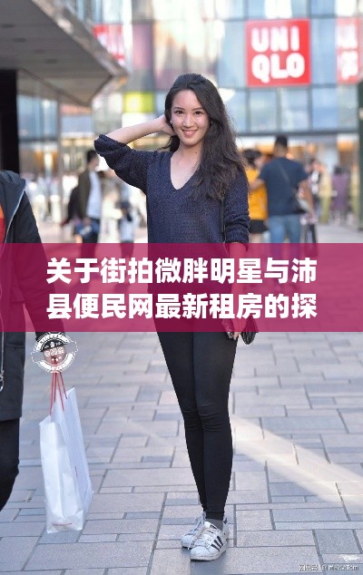关于街拍微胖明星与沛县便民网最新租房的探讨