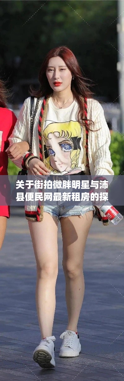 关于街拍微胖明星与沛县便民网最新租房的探讨