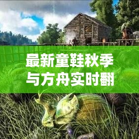 最新童鞋秋季与方舟实时翻译,语境下的紧密关联及协同落实建议