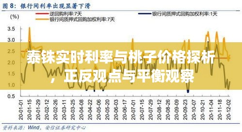 泰铢实时利率与桃子价格探析,正反观点与平衡观察