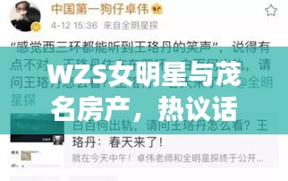 WZS女明星与茂名房产,热议话题的双向深度剖析