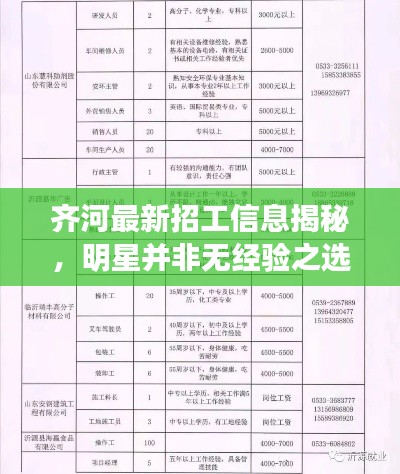 齐河最新招工信息揭秘,明星并非无经验之选!
