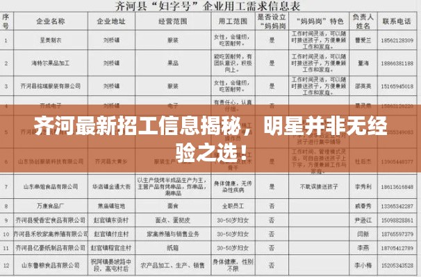 齐河最新招工信息揭秘,明星并非无经验之选!