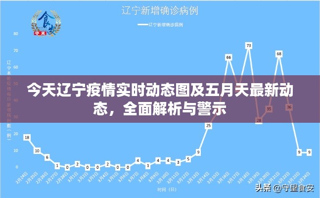 今天辽宁疫情实时动态图及五月天最新动态,全面解析与警示