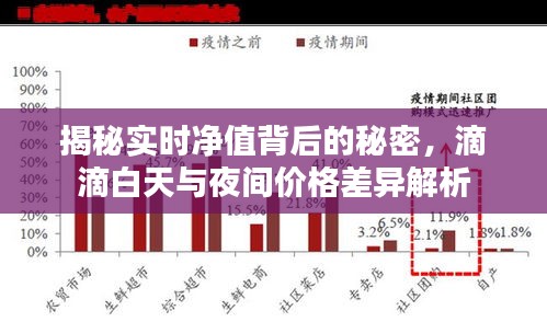 揭秘实时净值背后的秘密,滴滴白天与夜间价格差异解析