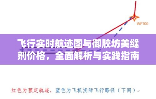 飞行实时航迹图与御胶坊美缝剂价格,全面解析与实践指南