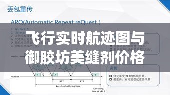飞行实时航迹图与御胶坊美缝剂价格,全面解析与实践指南