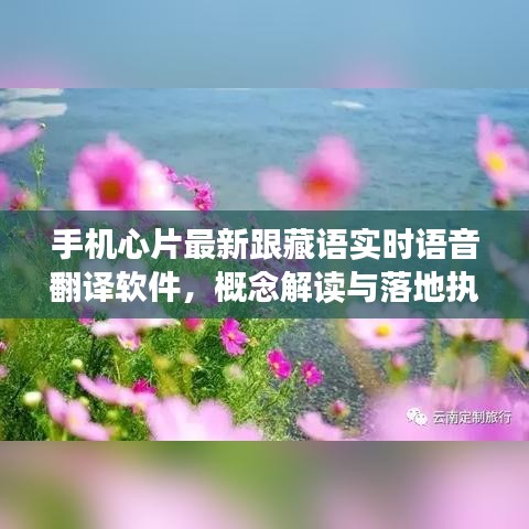 手机心片最新跟藏语实时语音翻译软件,概念解读与落地执行策略