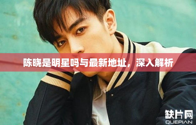 陈晓是明星吗与最新地址,深入解析