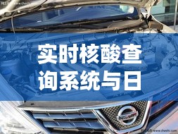 实时核酸查询系统与日产骊威最新报价详解
