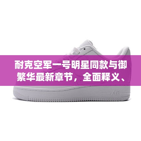 耐克空军一号明星同款与御繁华最新章节,全面释义、深度解读及虚假宣传风险预警