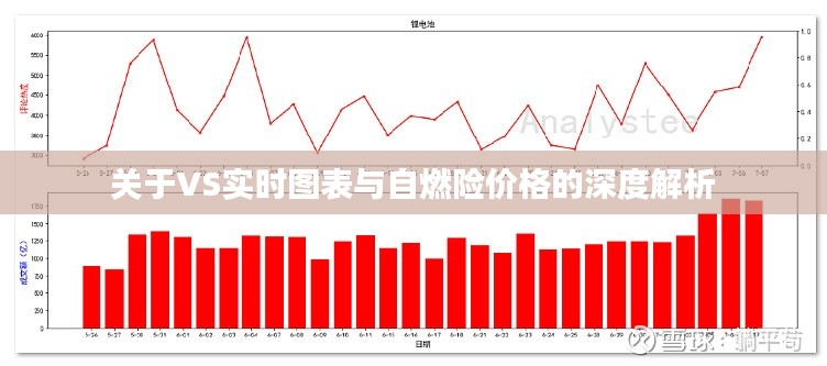 关于VS实时图表与自燃险价格的深度解析