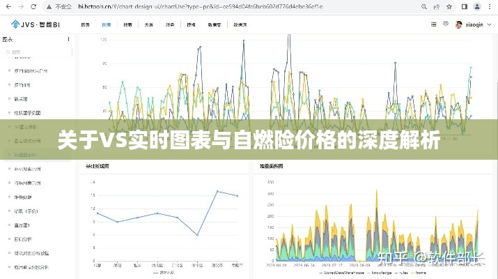关于VS实时图表与自燃险价格的深度解析