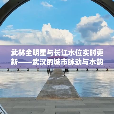 武林全明星与长江水位实时更新——武汉的城市脉动与水韵风采
