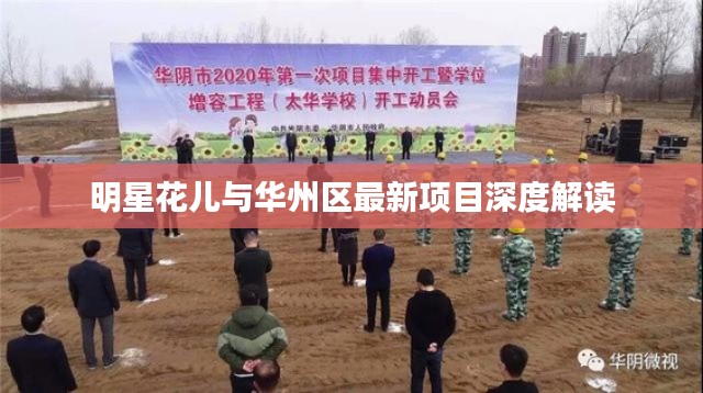明星花儿与华州区最新项目深度解读